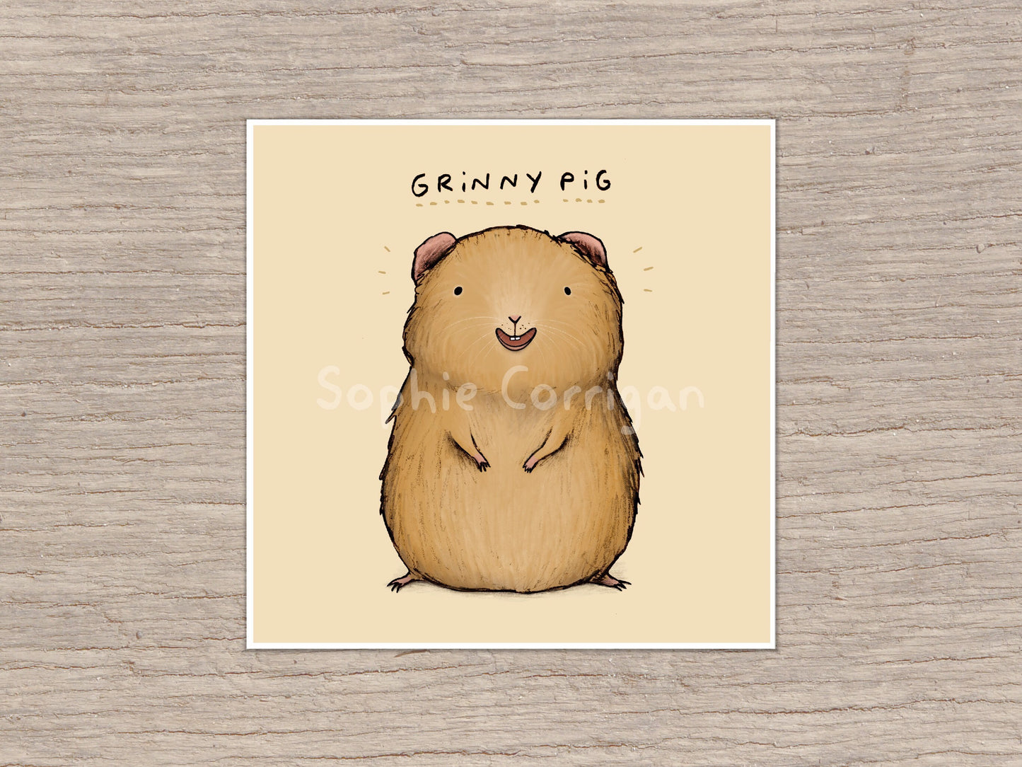 Grinny Pig Signed Art Print