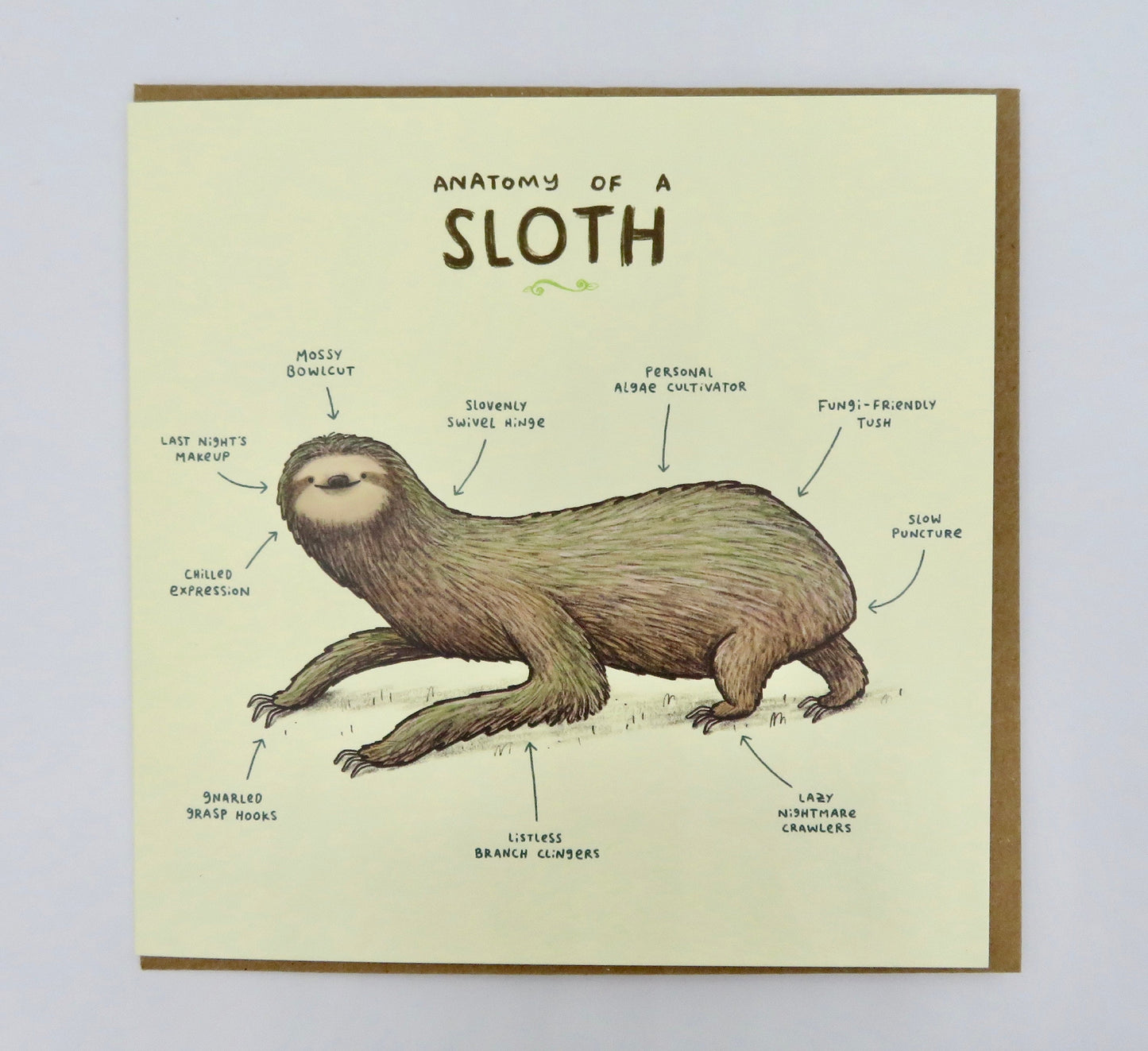 Anatomy of a Sloth Card