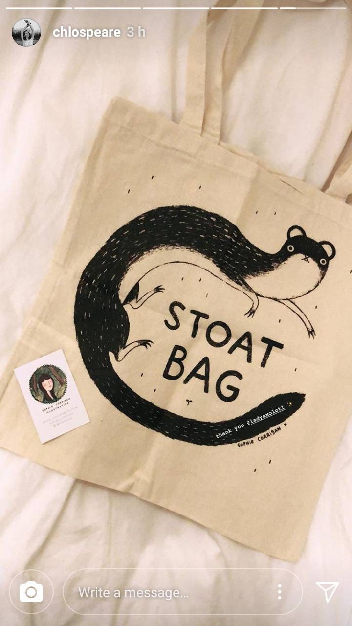 Stoat Bag: Hand Screen Printed Stoat Tote, Original Design