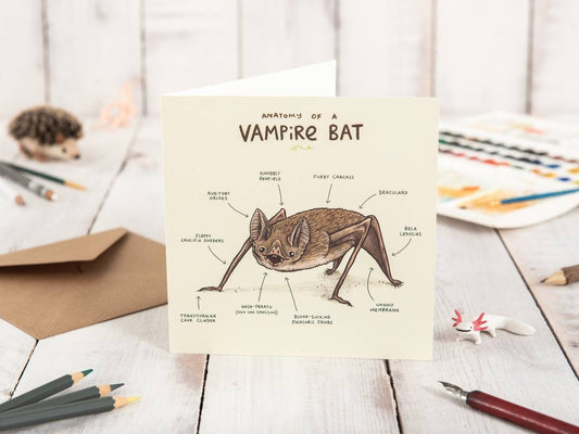 Anatomy Of A Vampire Bat Card