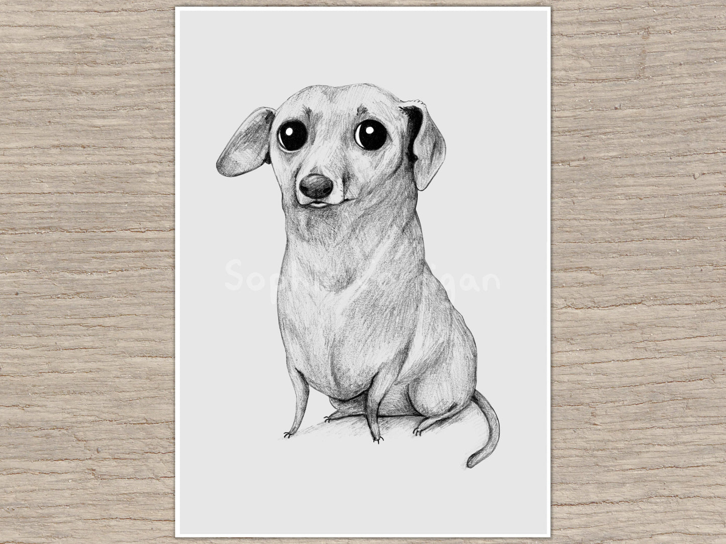 Monochrome Dachshund Portrait Signed Fine Art Print