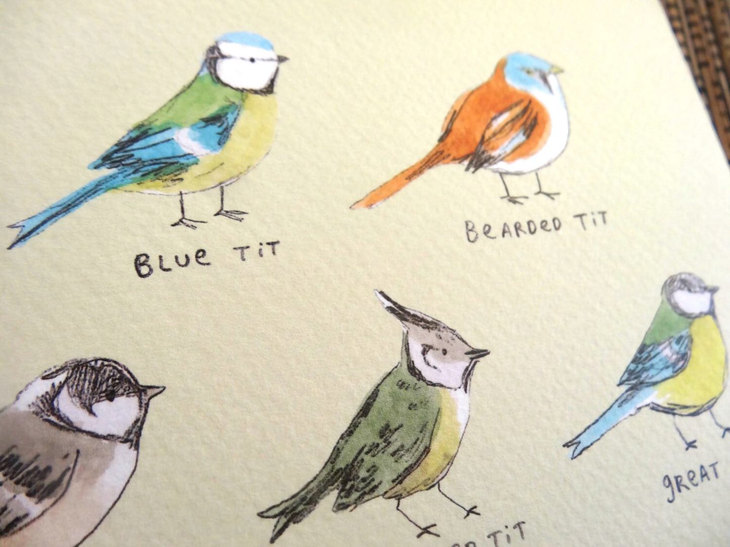 The Tit Family Card