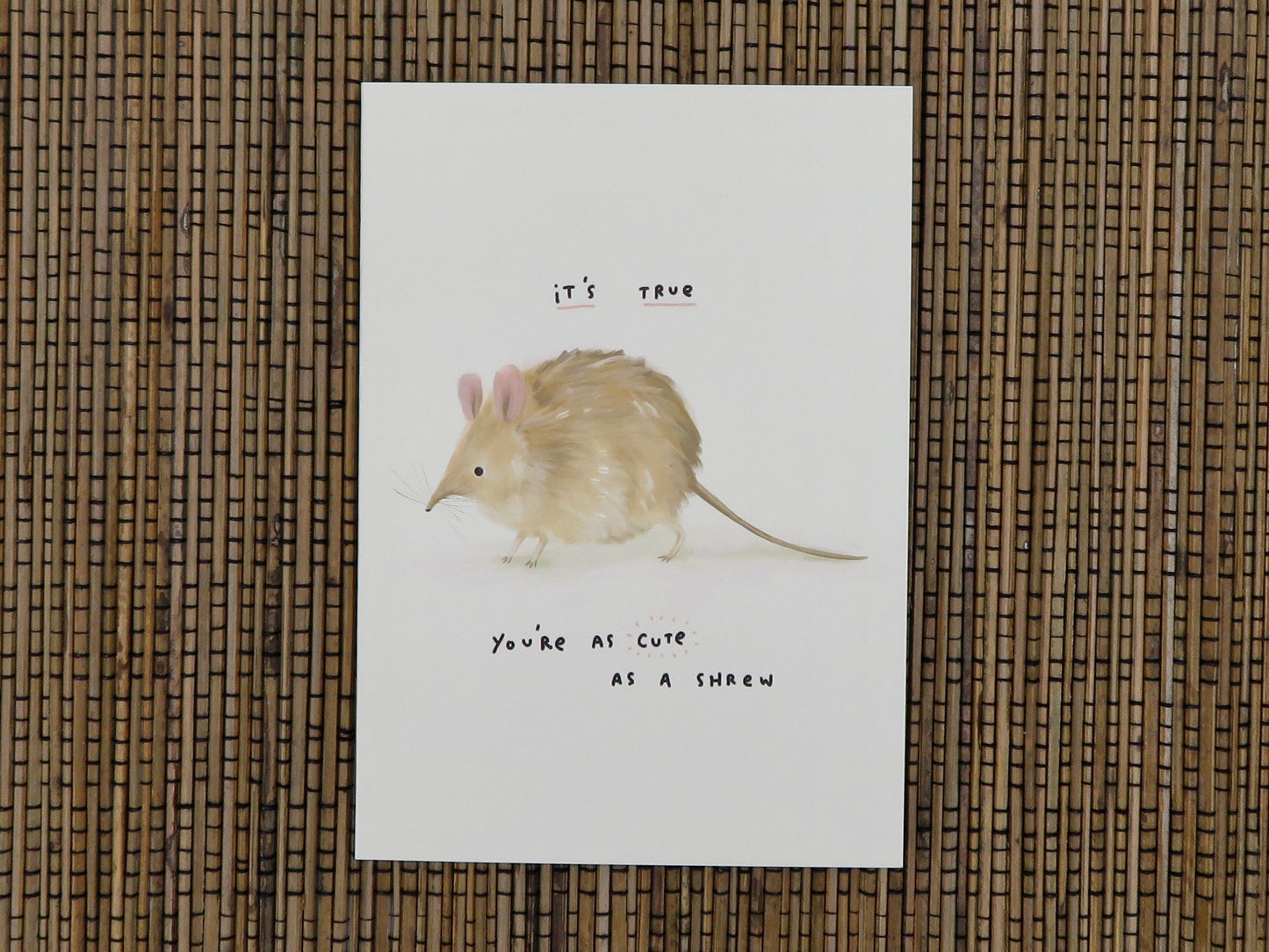 You're as Cute as a Shrew Card - Adorable Funny Fluffy Shrews Valentines Friend