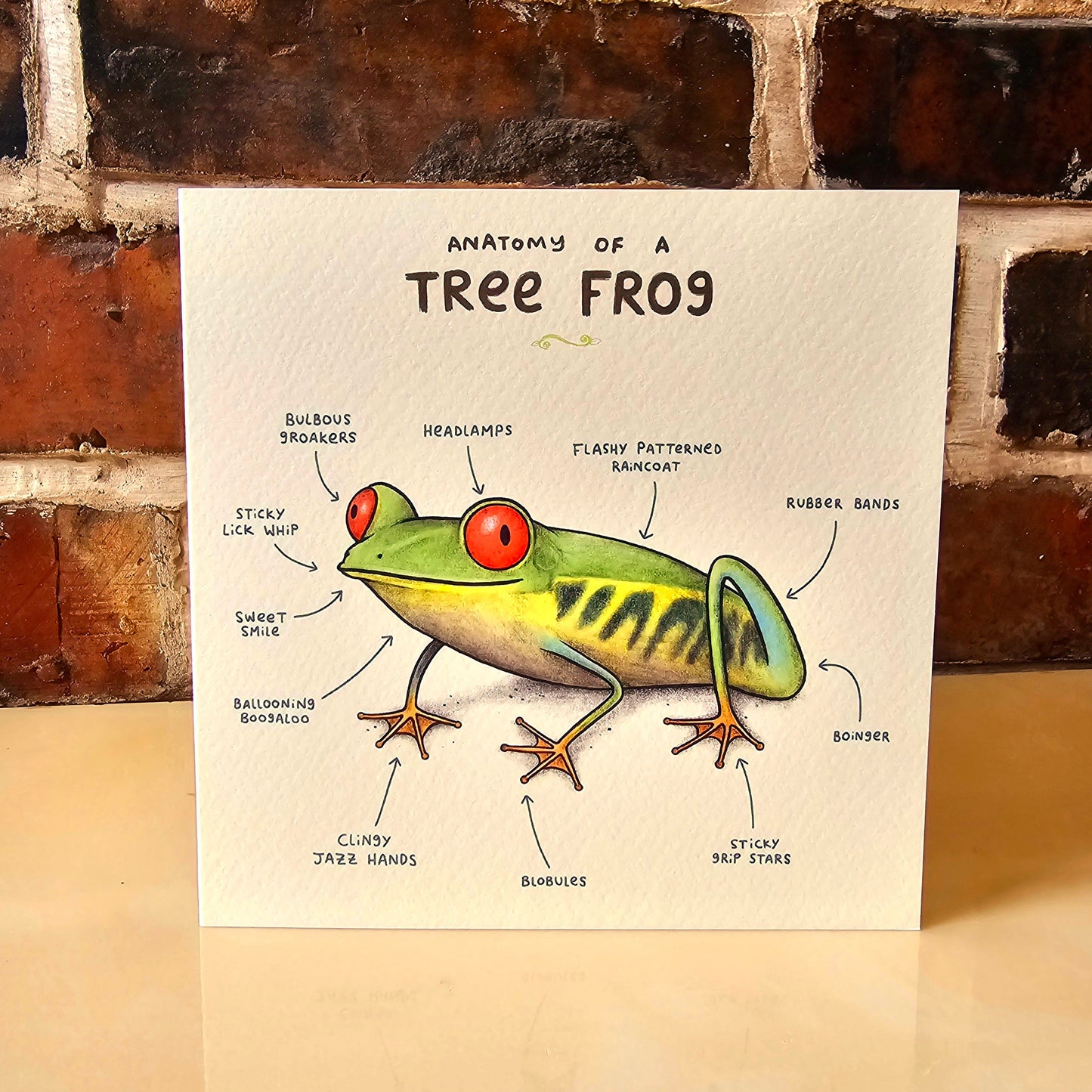 Anatomy of a Tree Frog Greeting Card: Funny Animal Illustration