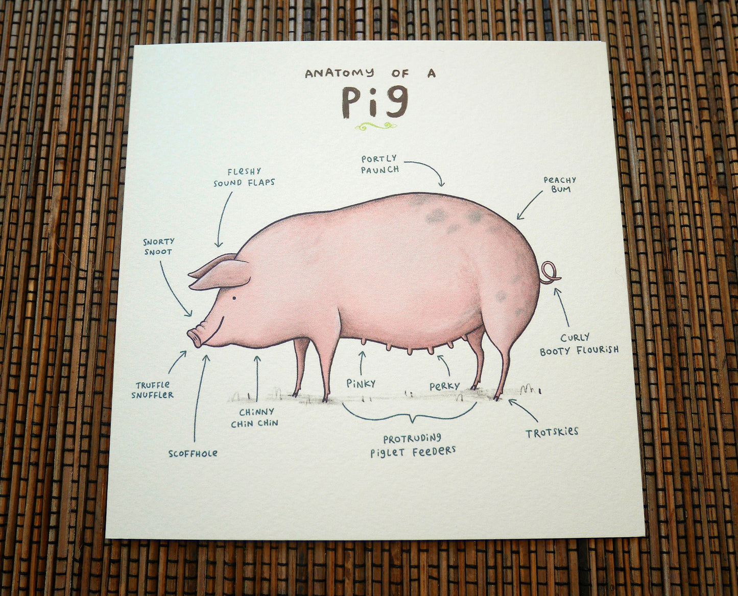 Anatomy Of A Pig Card