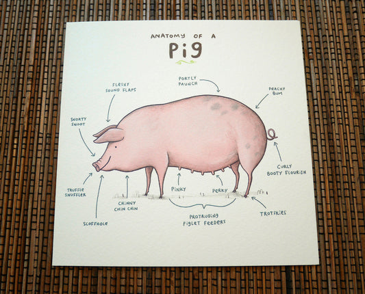Anatomy Of A Pig Card