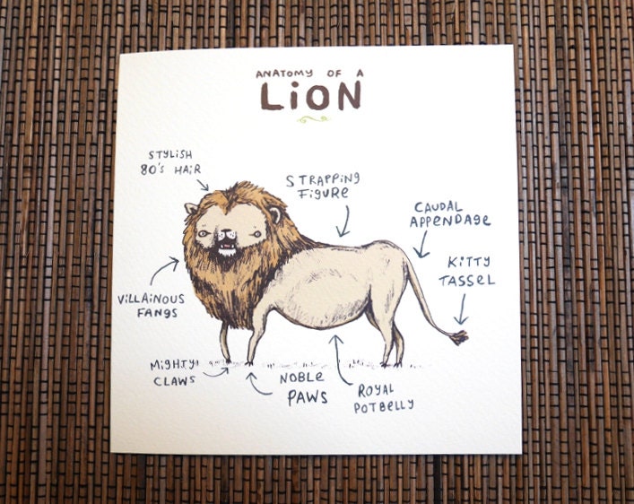 Anatomy Of A Lion Card