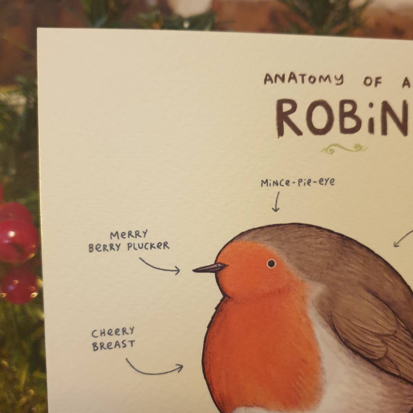 Anatomy of a Robin Card – Cute Bird Christmas Card