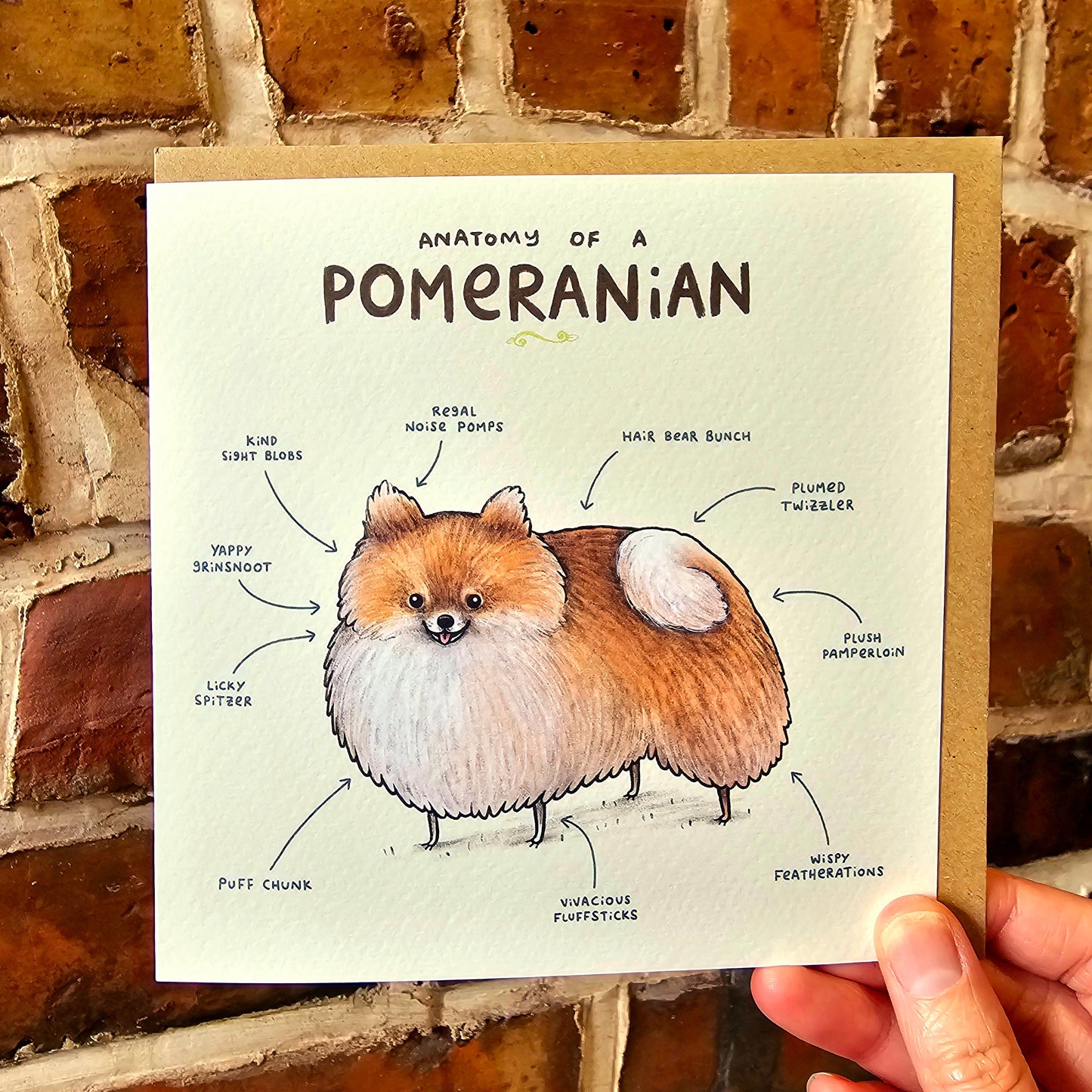 Anatomy of a Pomeranian Greeting Card: Funny Dog Illustration
