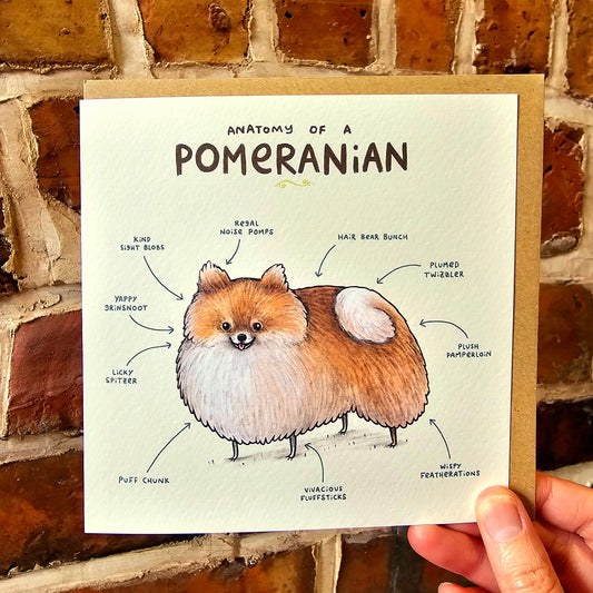 Anatomy of a Pomeranian Greeting Card: Funny Dog Illustration