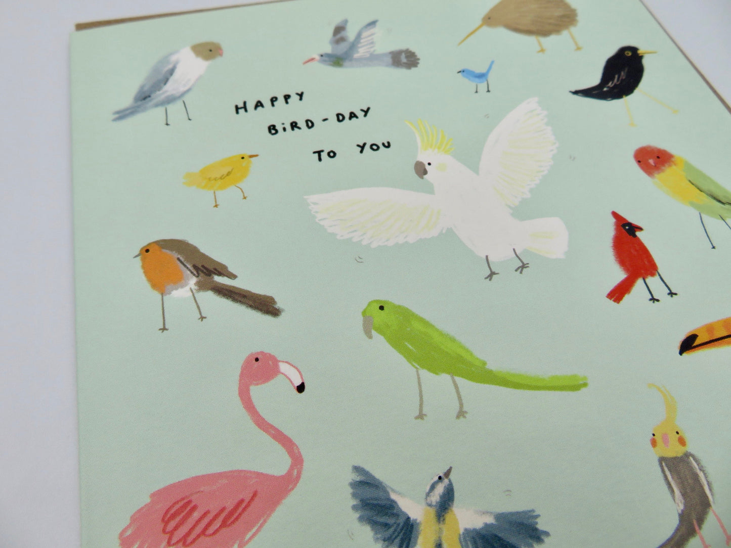 Bird-Day Card: Illustrated Birthday Card with Kraft Envelope