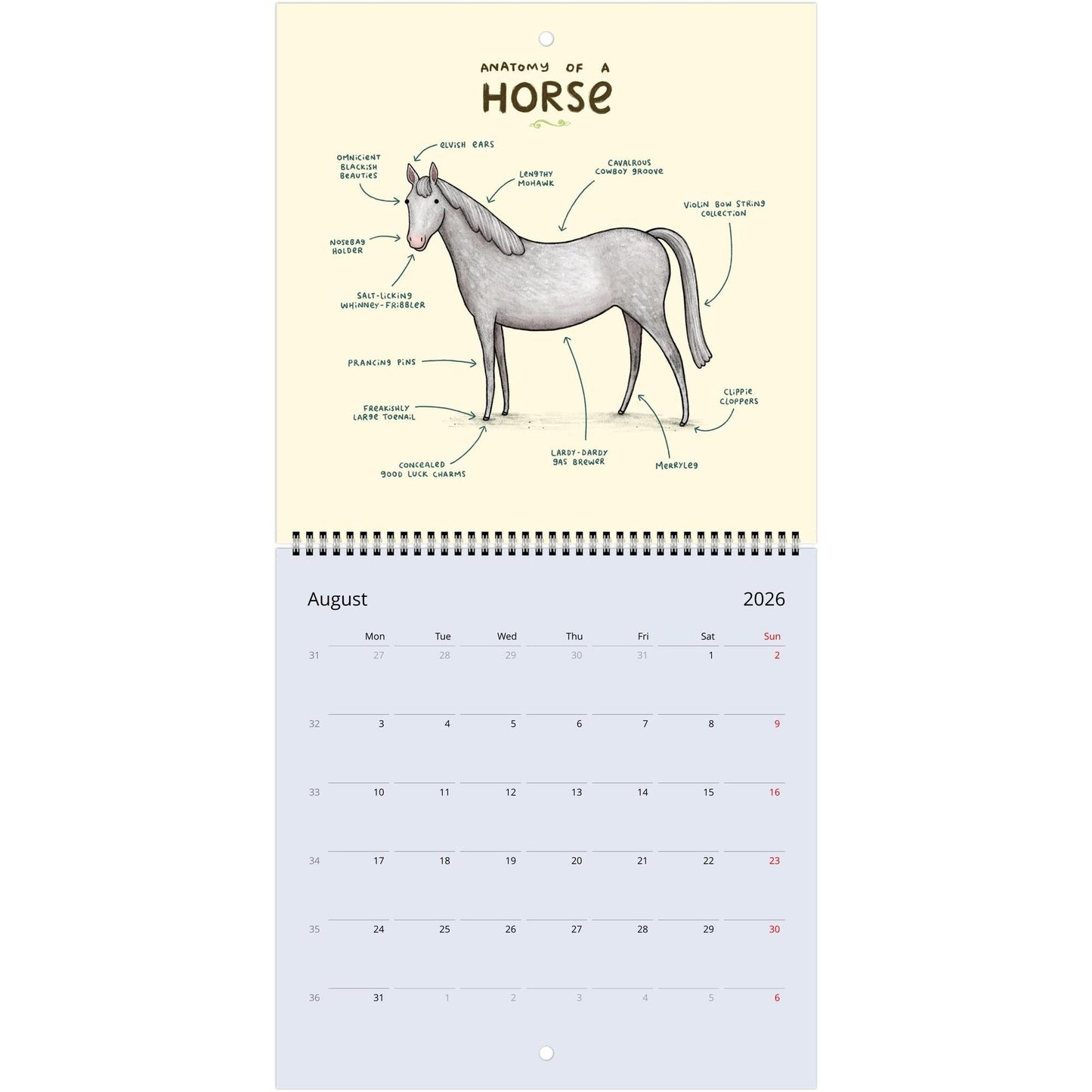 Animal Anatomy 2026 July - 2027 June Cute Creatures 12 Month Wall Calendar