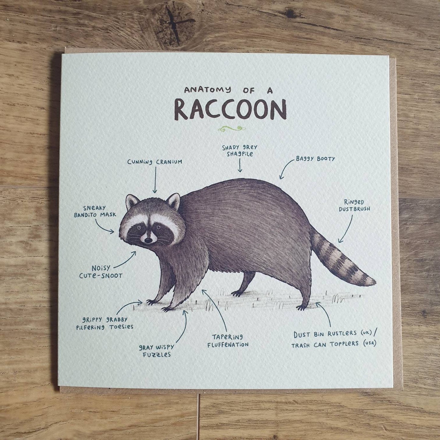 Anatomy Of A Raccoon Card