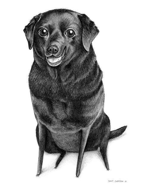 Pencil Pet Portrait - A4