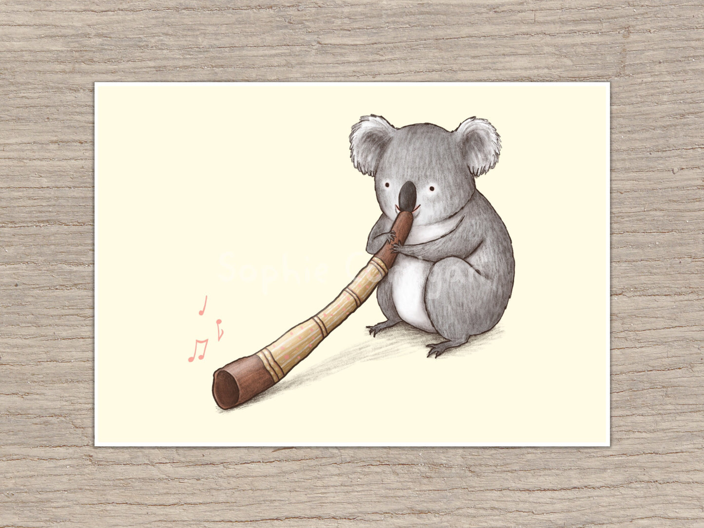 Koala Playing the Didgeridoo Signed Art Print