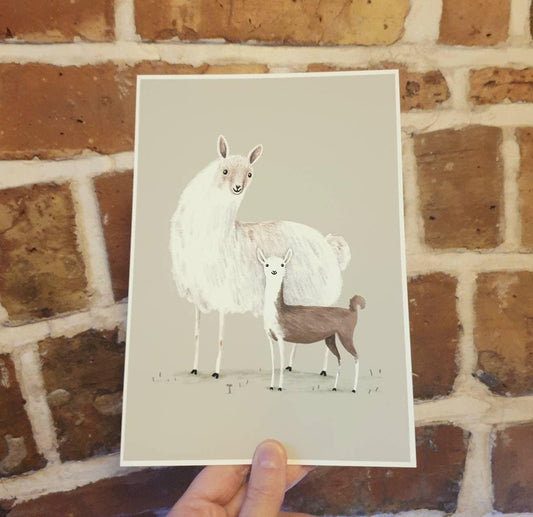 Llama Mama Signed Fine Art Print