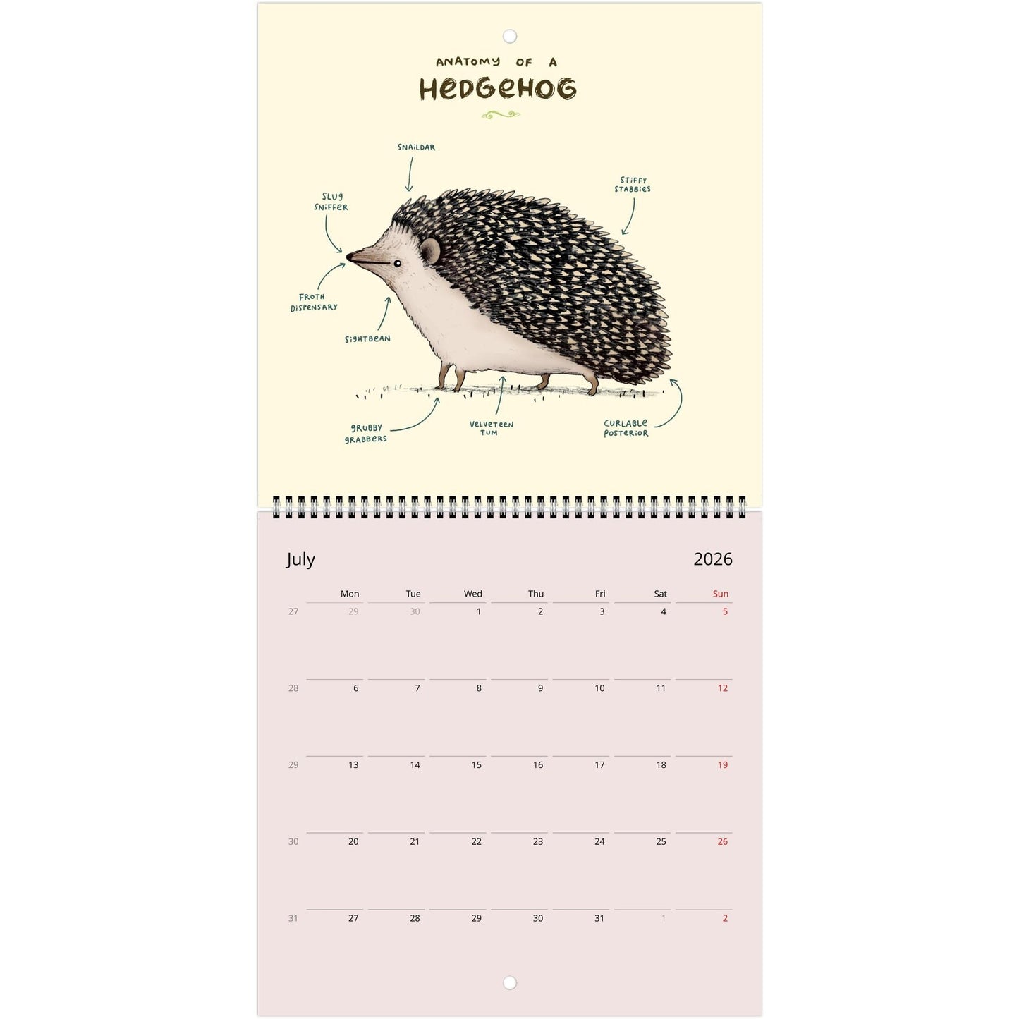 Animal Anatomy 2026 July - 2027 June Cute Creatures 12 Month Wall Calendar