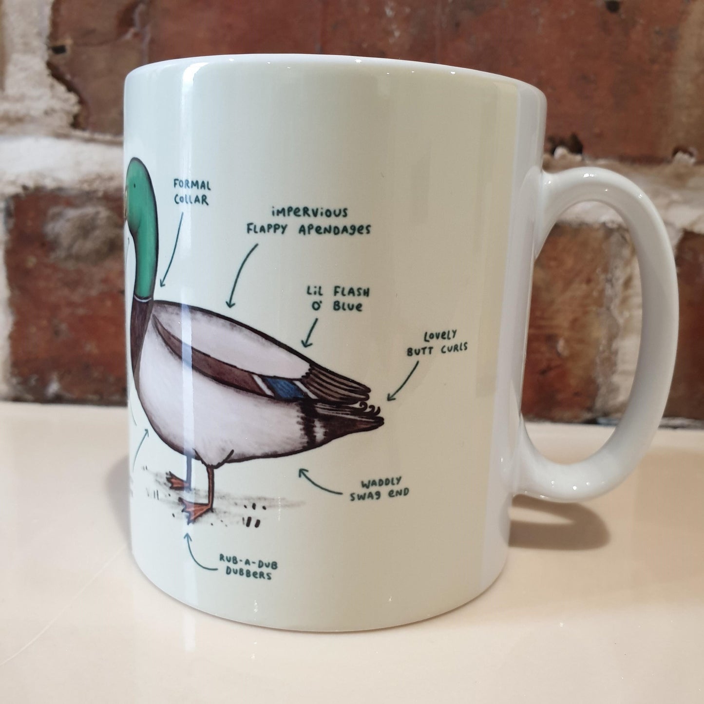 Anatomy of a Duck Mug