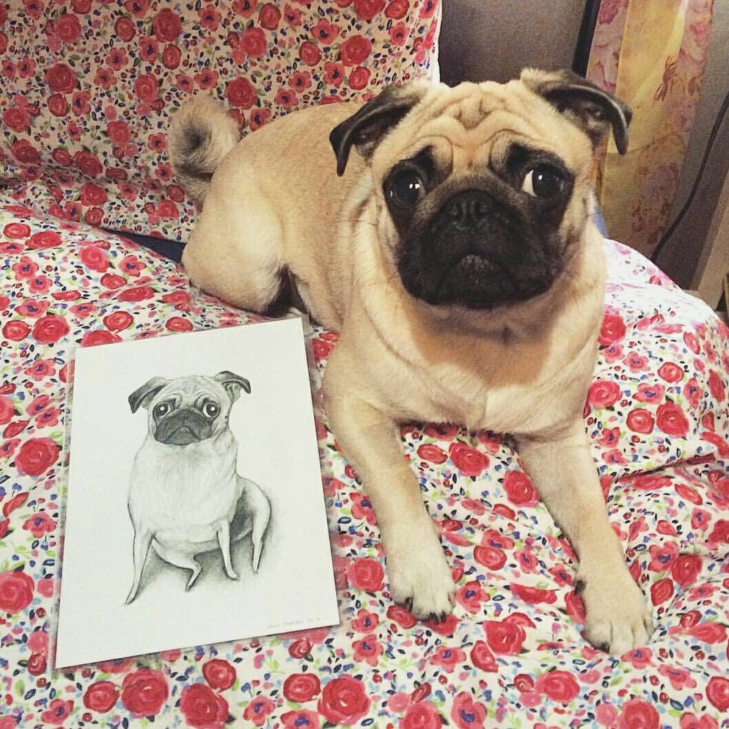 Pencil Pet Portrait - A5
