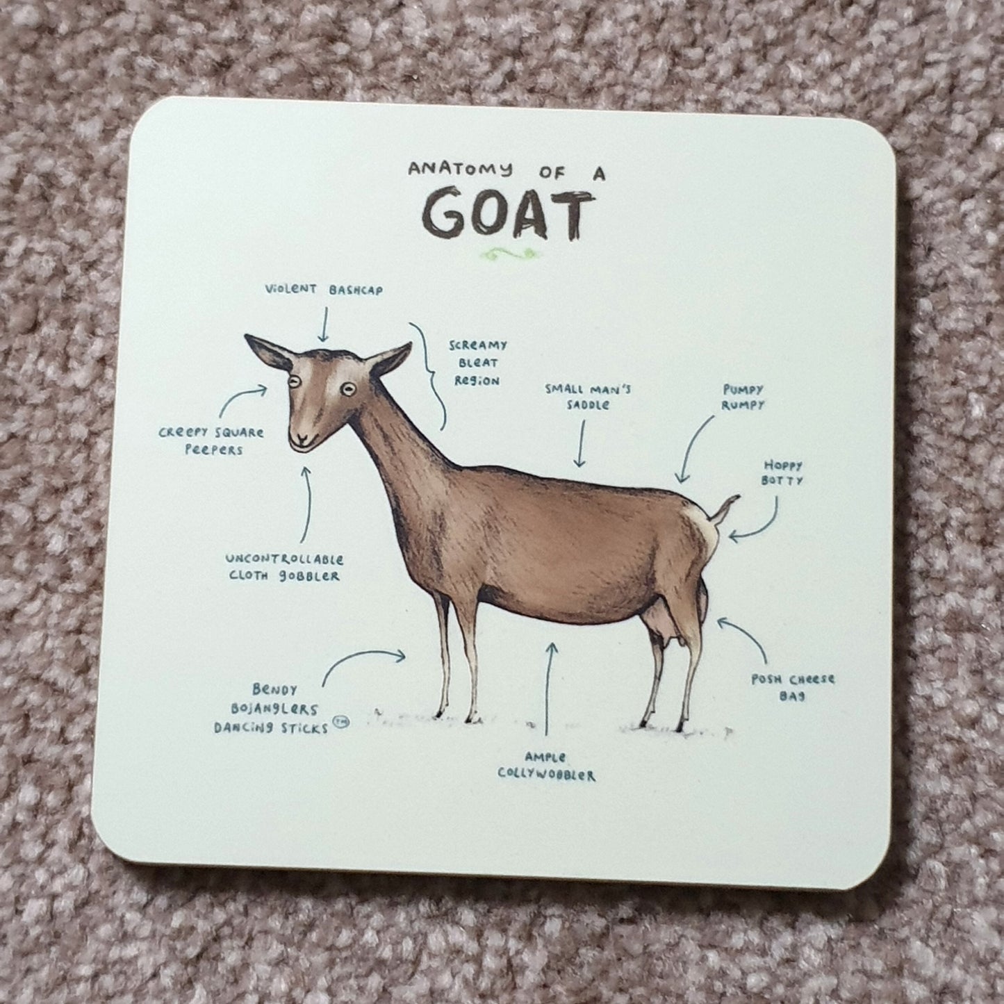 Anatomy of a Goat Coaster