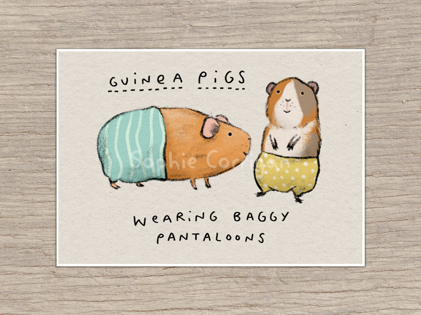 Guinea Pigs Wearing Baggy Pantaloons Signed Art Print
