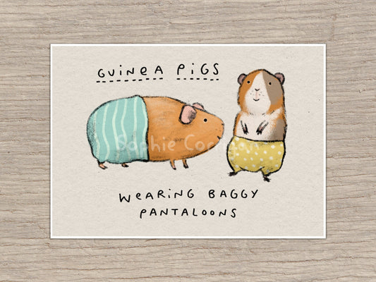 Guinea Pigs Wearing Baggy Pantaloons Signed Art Print