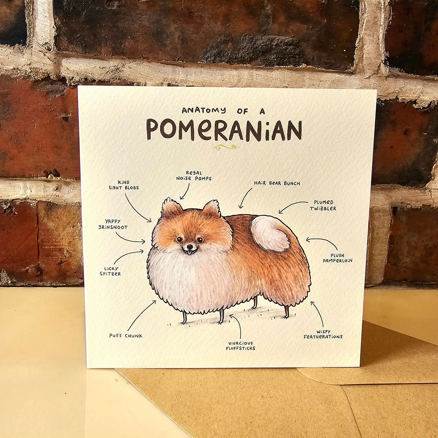 Anatomy of a Pomeranian Greeting Card: Funny Dog Illustration