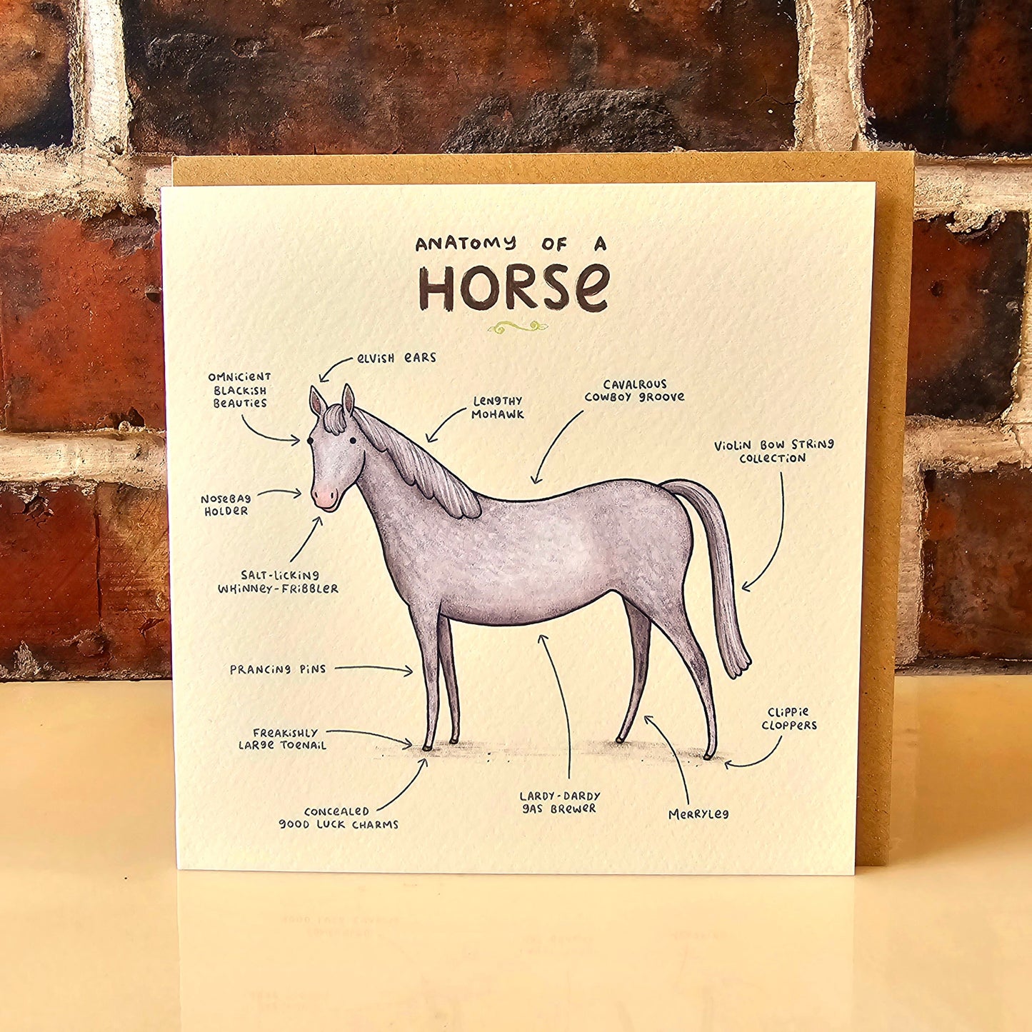 Anatomy of a Horse Card