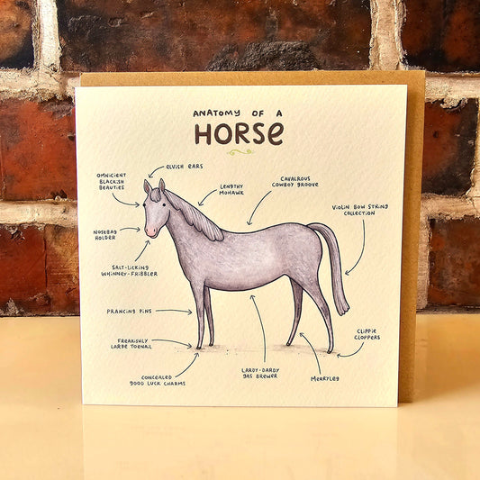 Anatomy of a Horse Card