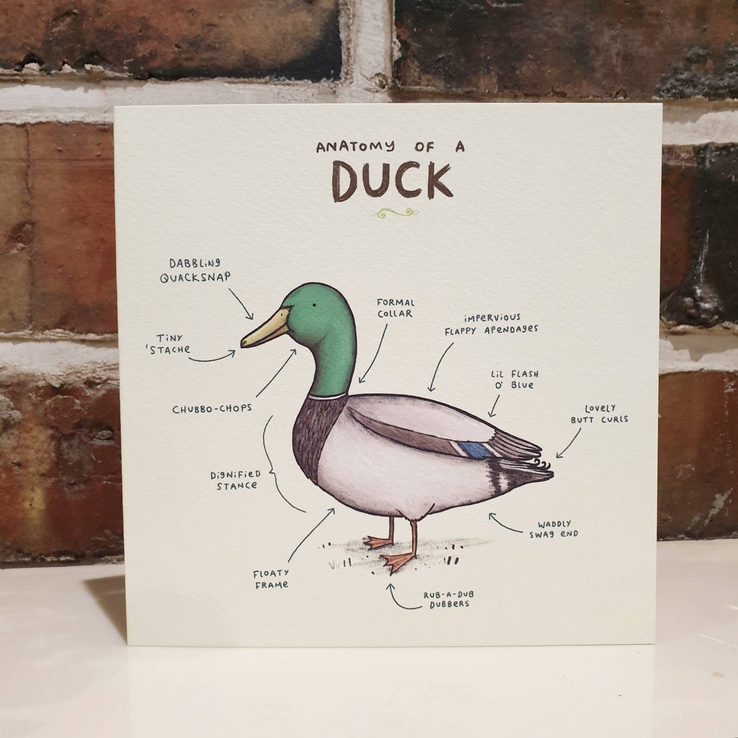 Anatomy Of A Duck Card