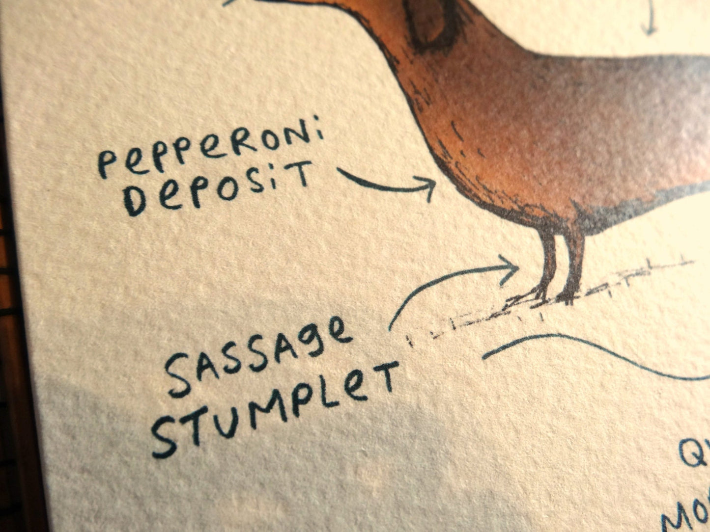 Anatomy Of A Dachshund Card