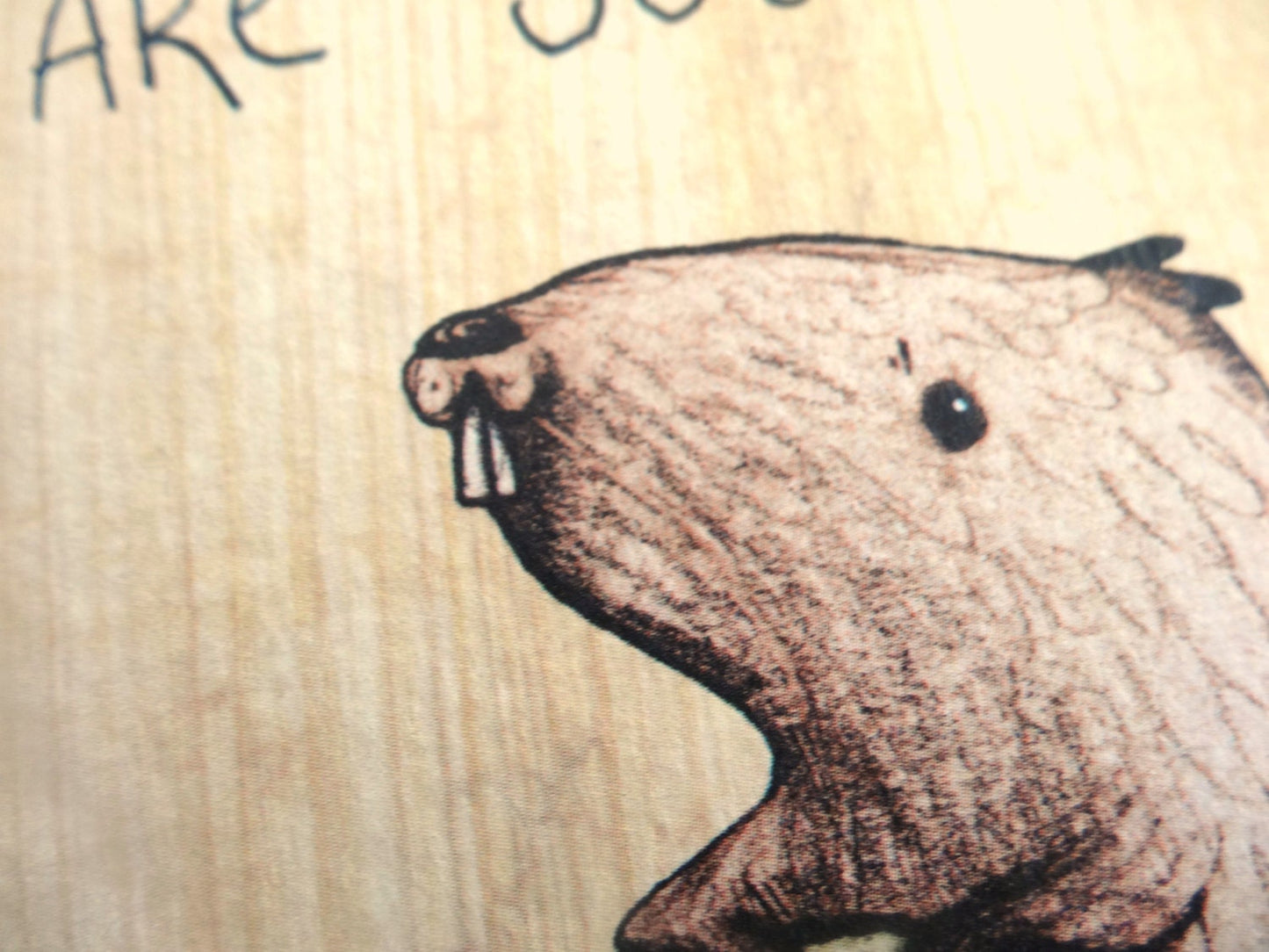Are You a Beaver Cuz Dam Card