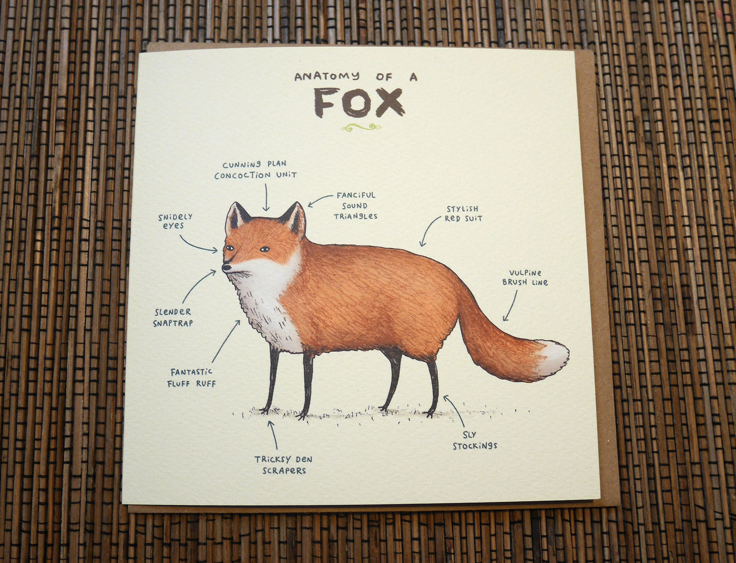 Anatomy Of A Fox Card