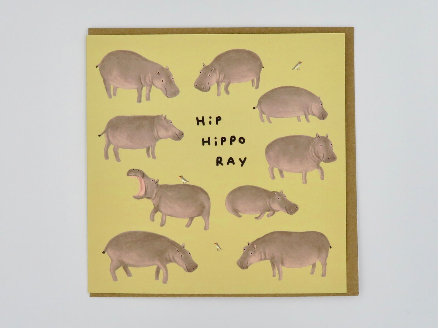 Hip Hippo Ray Birthday Celebration Card