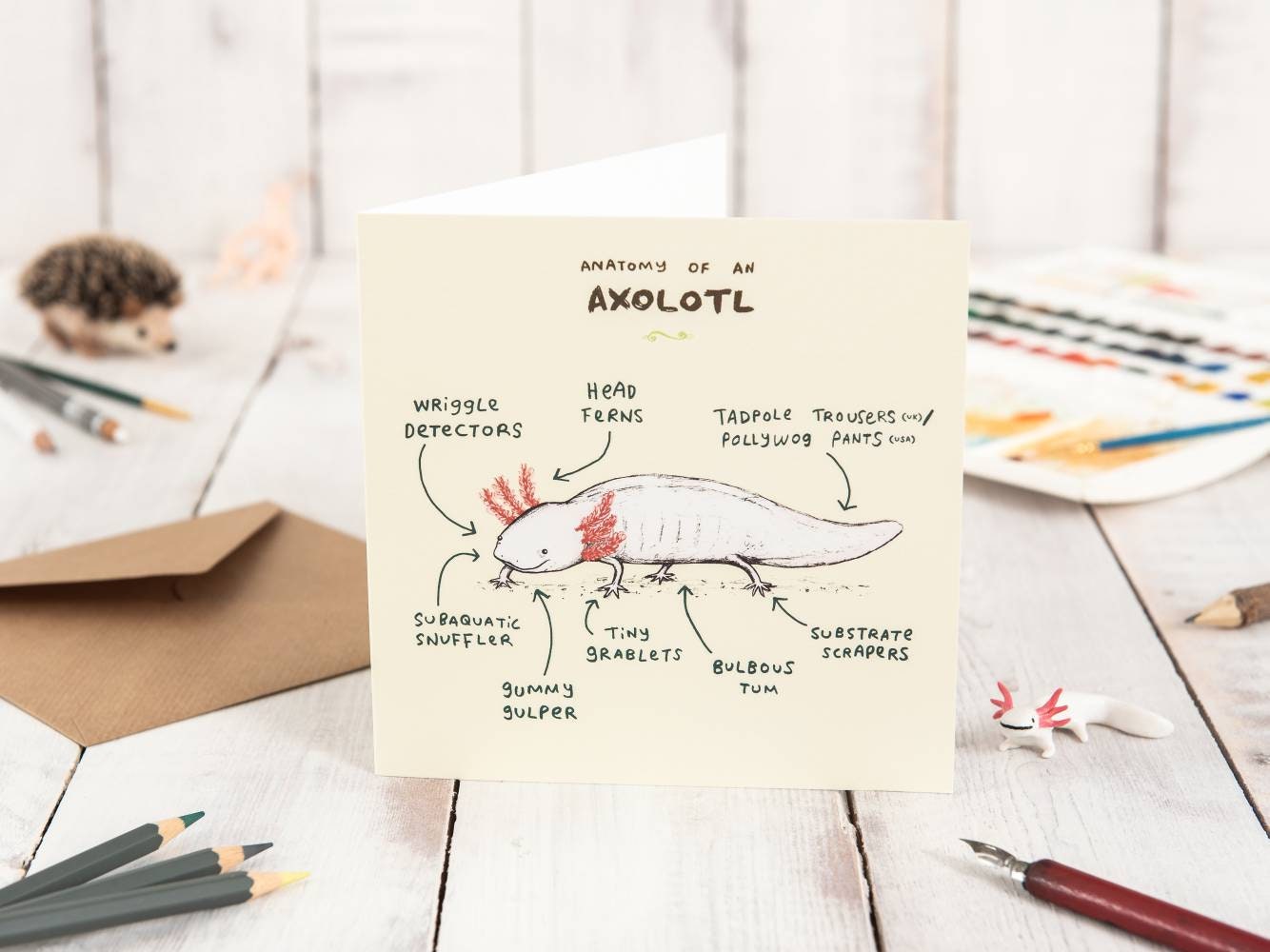 Anatomy Of An Axolotl Card