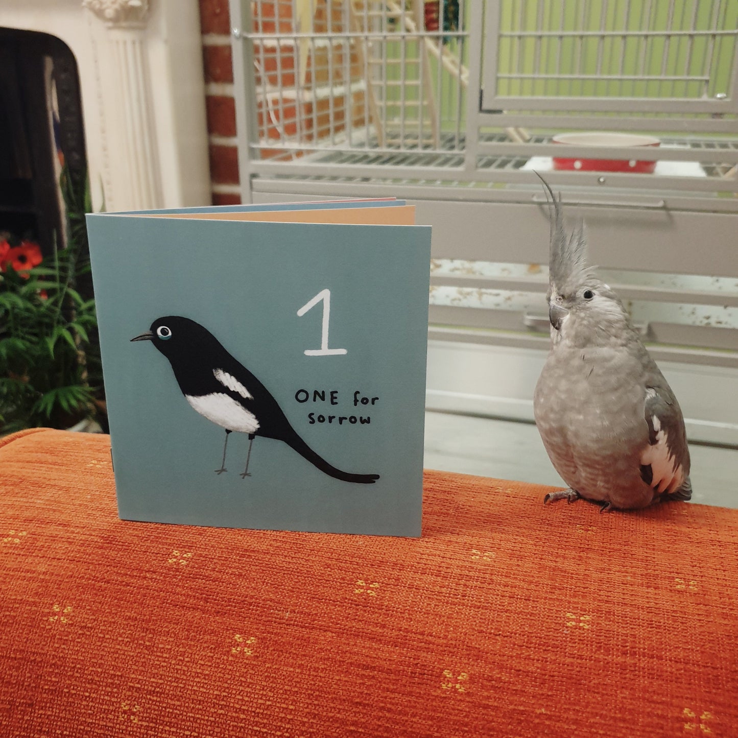One For Sorrow Magpie Nursery Rhyme Mini Art Zine: Hand Signed Children's Picture Book