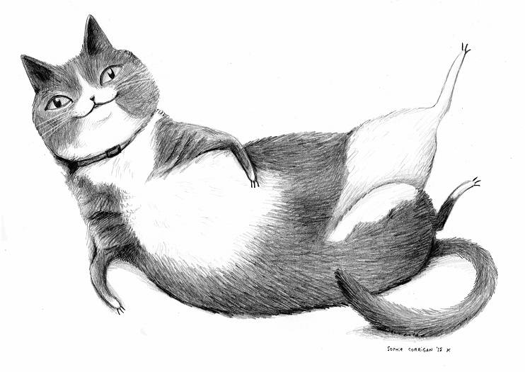 Pencil Pet Portrait - A5