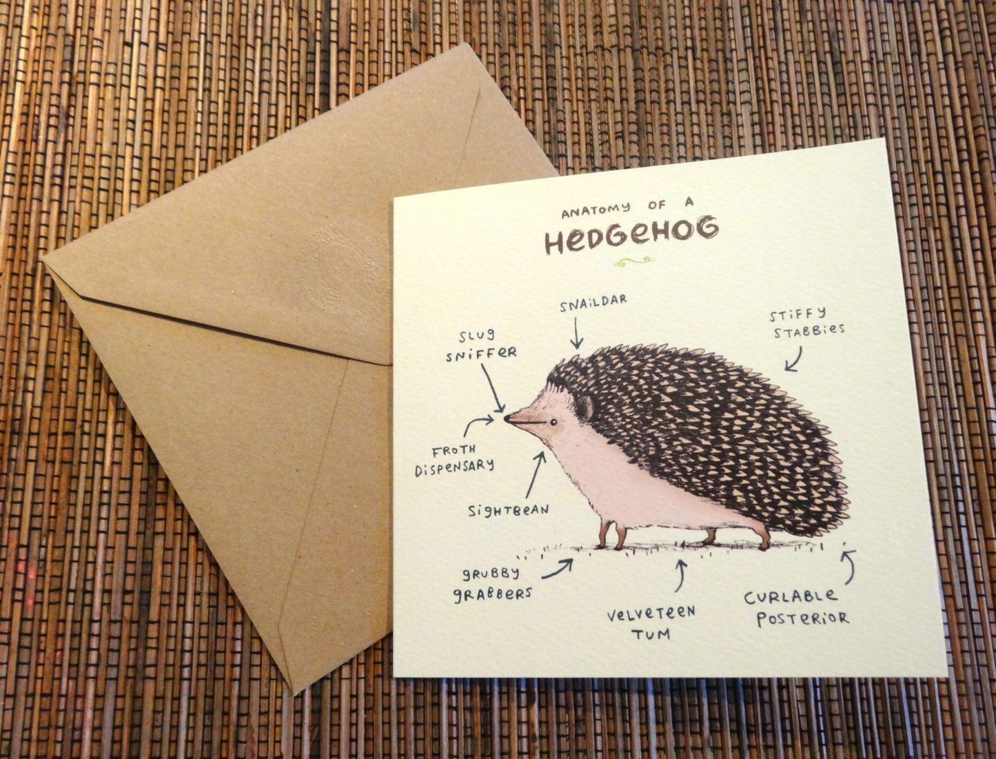 Anatomy Of A Hedgehog Card