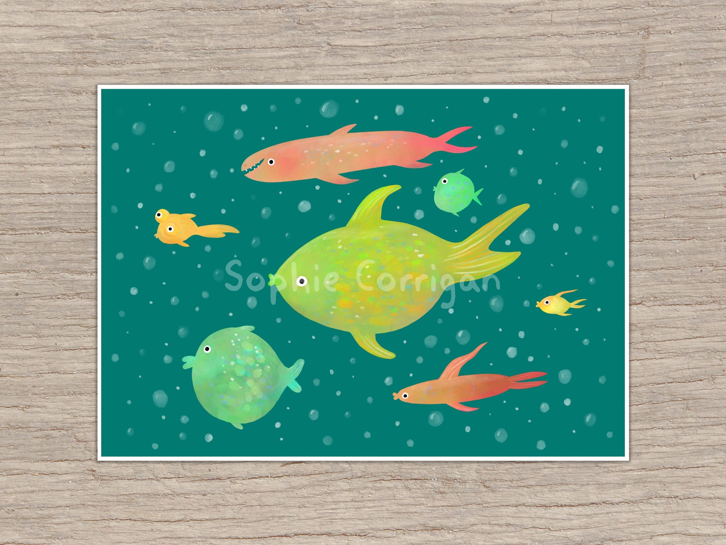 Cute Funny Colourful Fish Signed Fine Art Print