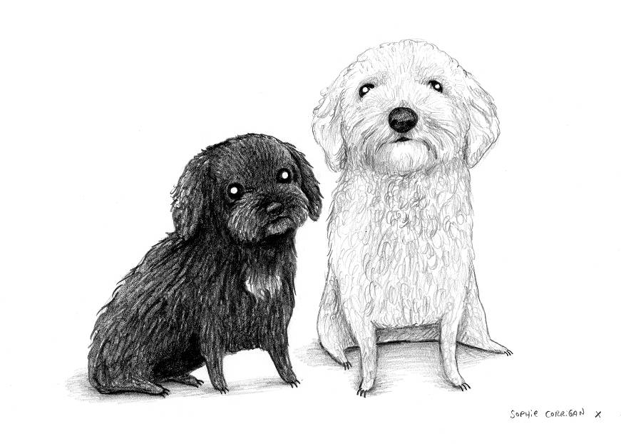 Pencil Pet Portrait - A5