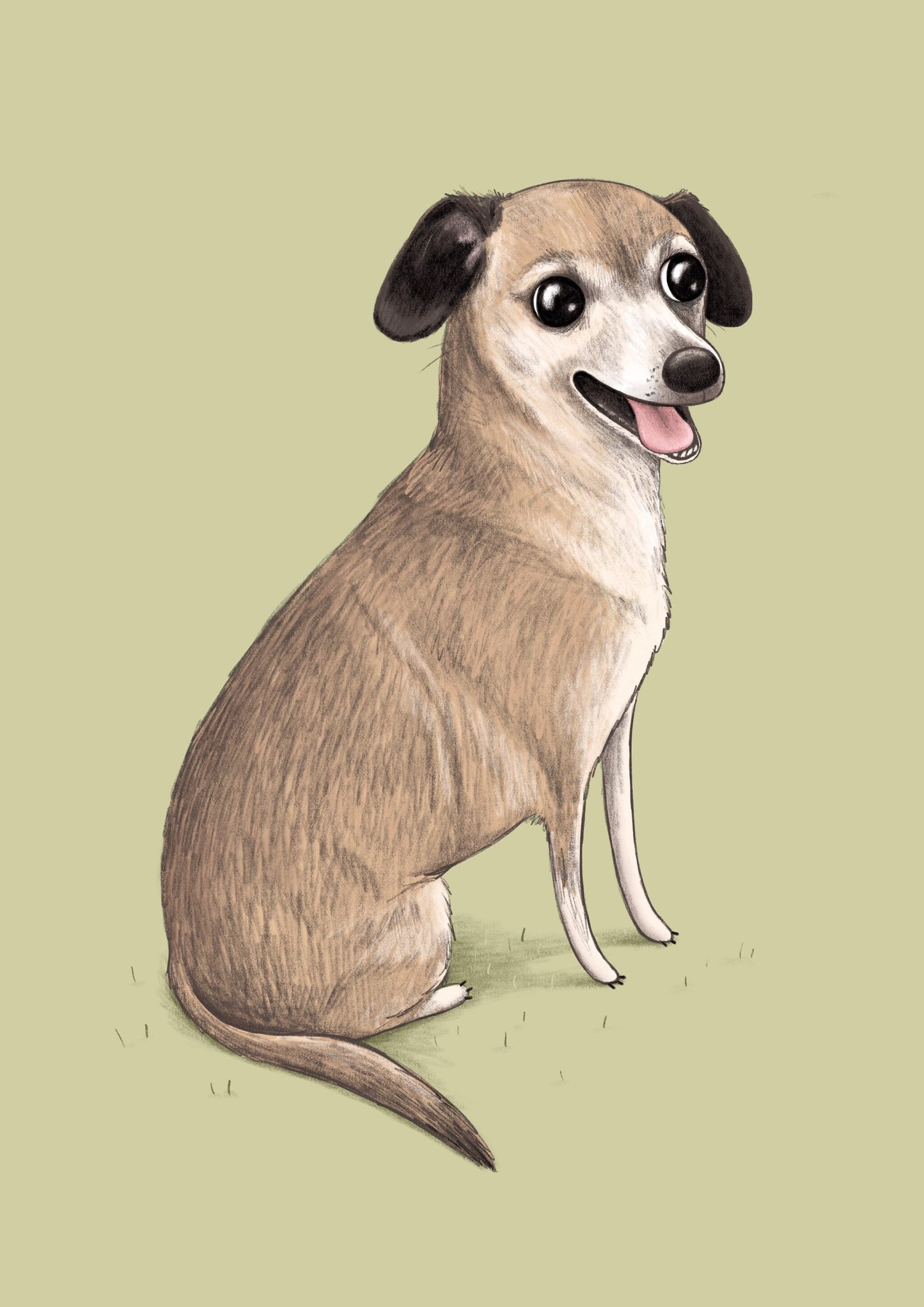 Bespoke Pet Portrait: Custom Color Illustration (Digital)