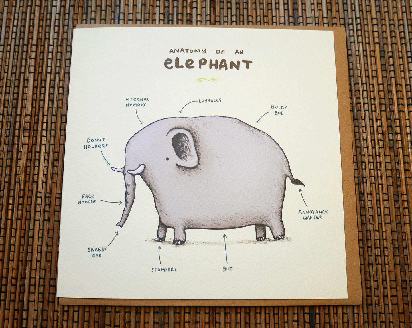 Anatomy of an Elephant Card