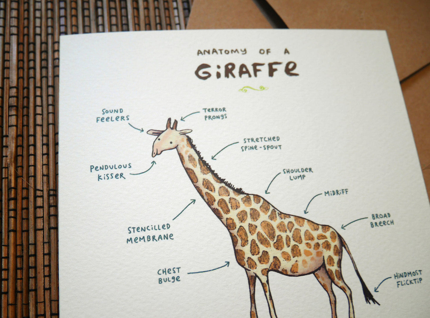 Anatomy Of A Giraffe Card