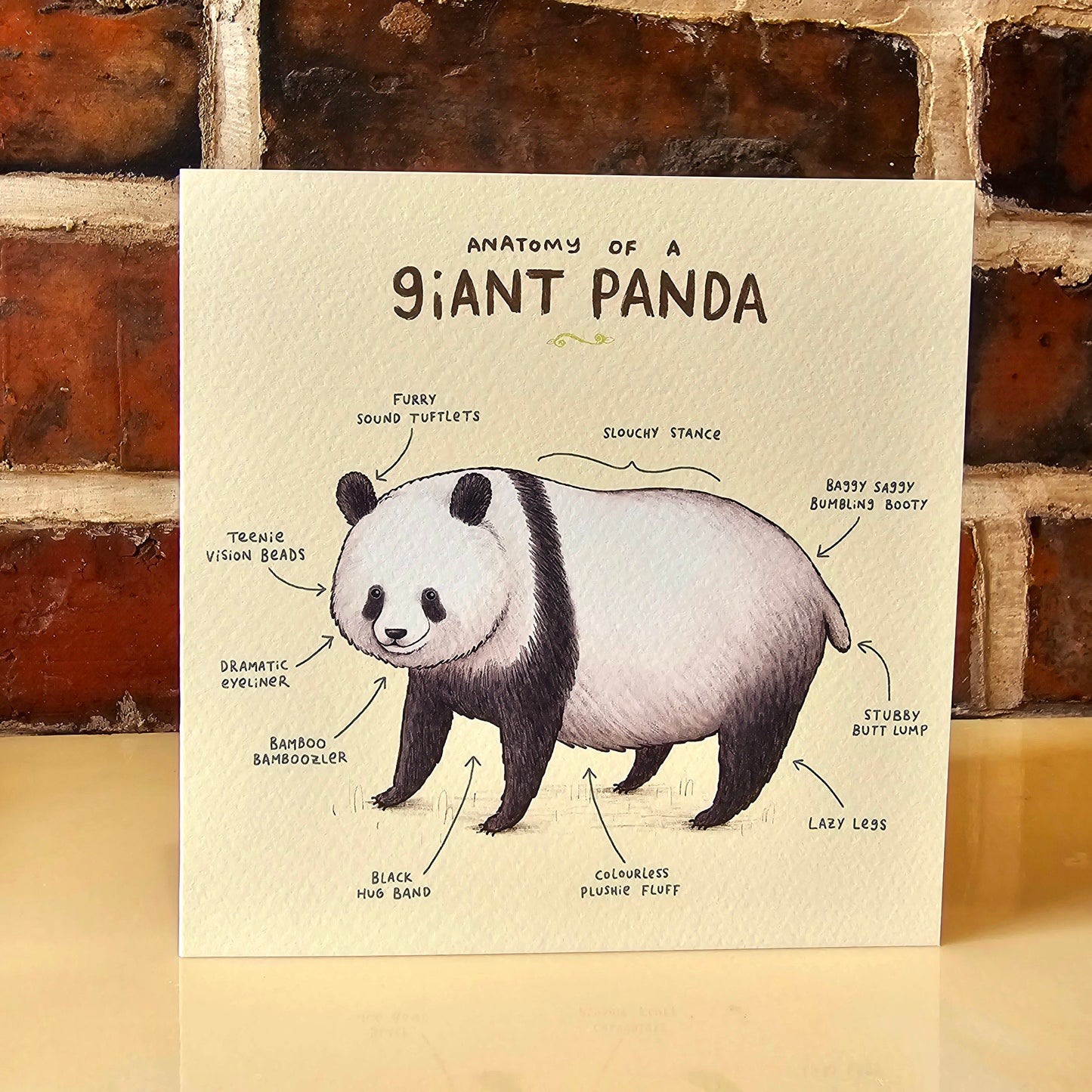 Anatomy Of A Giant Panda Card