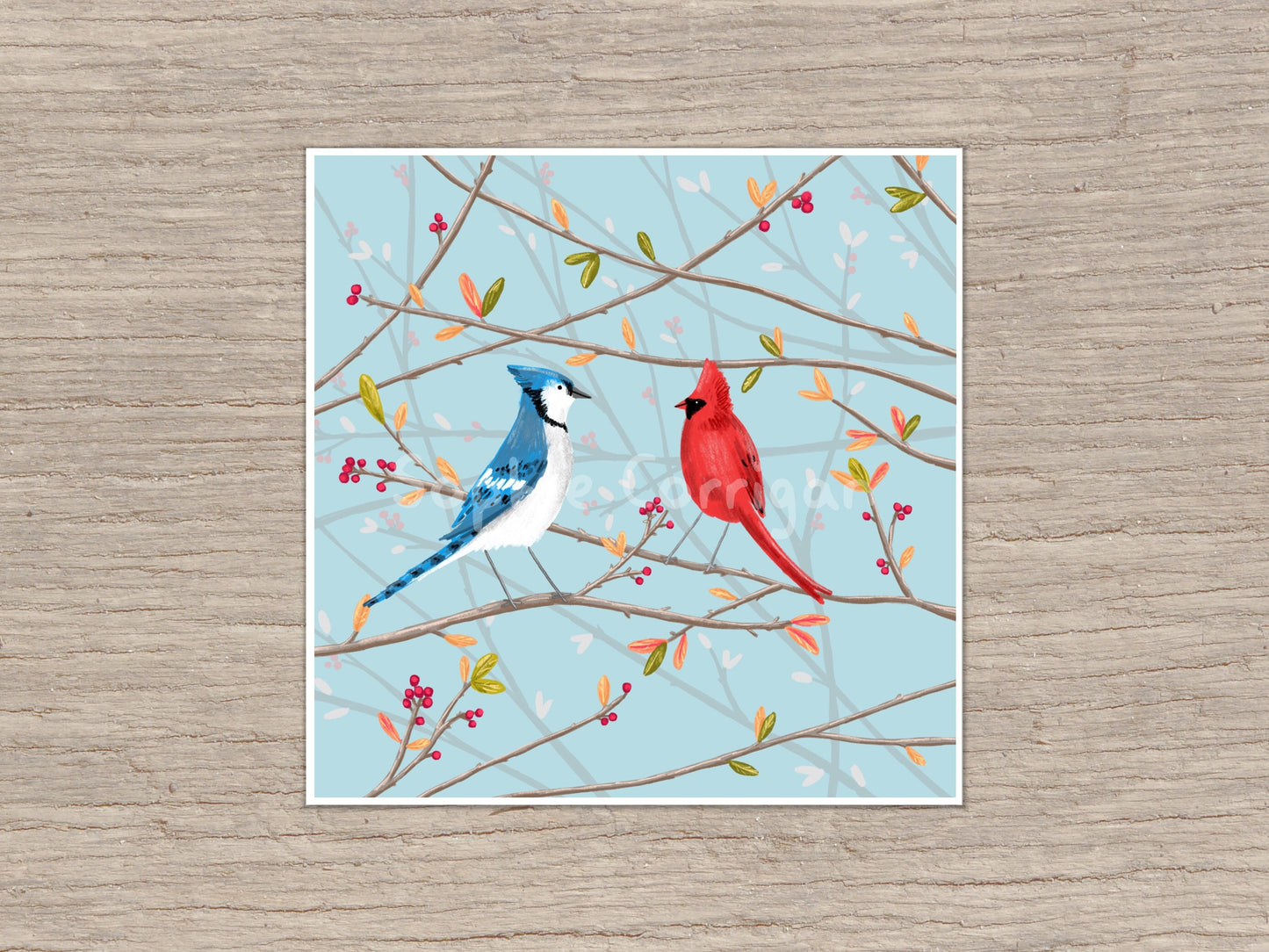 Blue Jay & Cardinal Signed Art Print