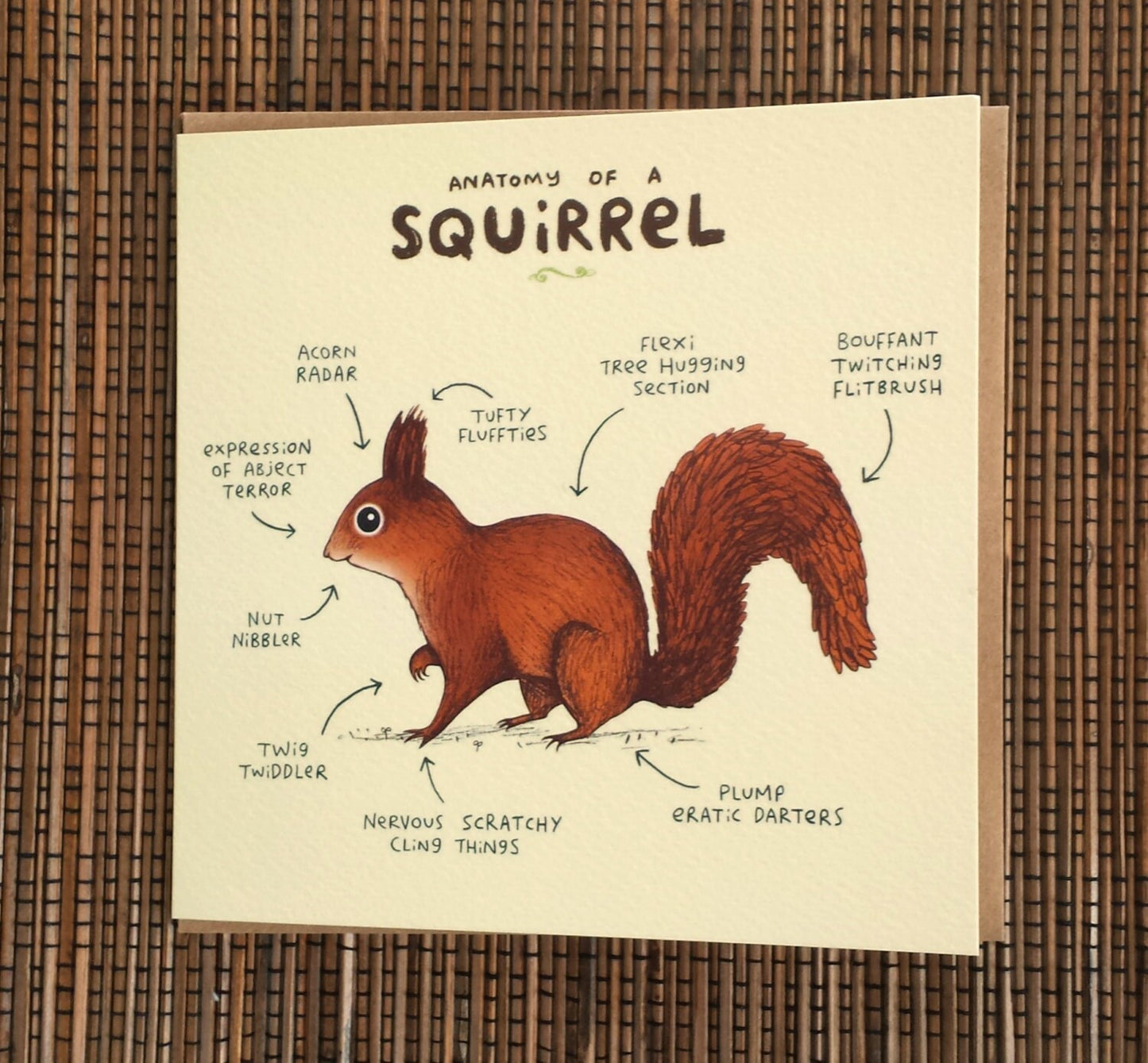 Anatomy Of A Squirrel Card