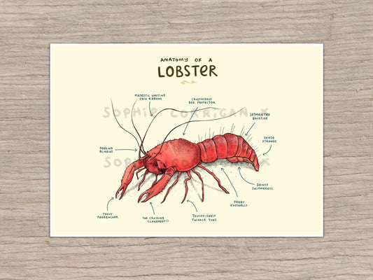 Anatomy of a Lobster Signed Art Print
