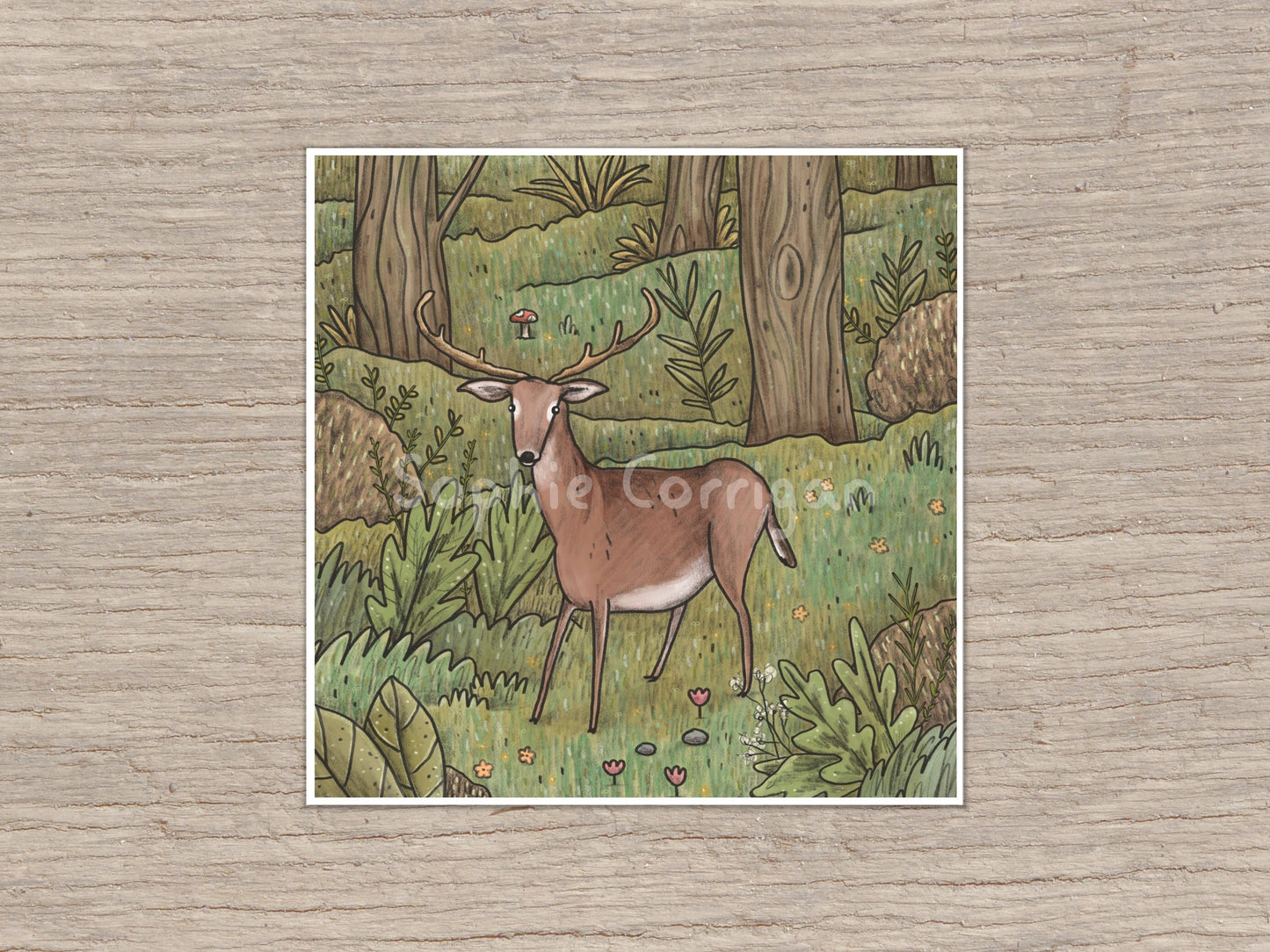 Deer in Woodland Signed Art Print
