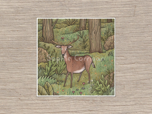 Deer in Woodland Signed Art Print