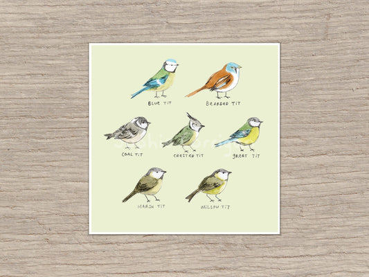 The Tit Family Birds Signed Fine Art Print